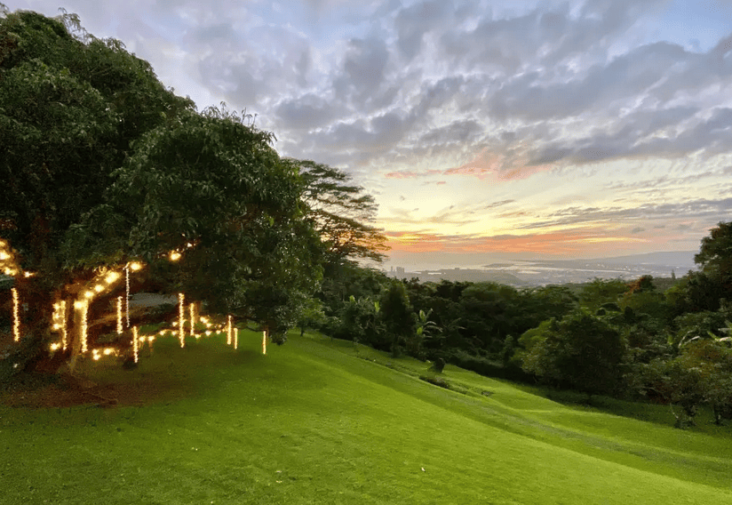 Experience Nutridge Luau Setting